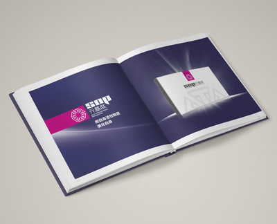 畫冊(cè)排版設(shè)計(jì) 元基企業(yè)房地產(chǎn)信息咨詢的品牌展示藝術(shù)